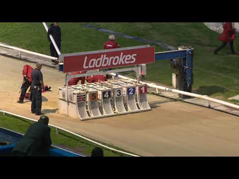 Serenity Spice - Ladbrokes Kent Derby - HT 3