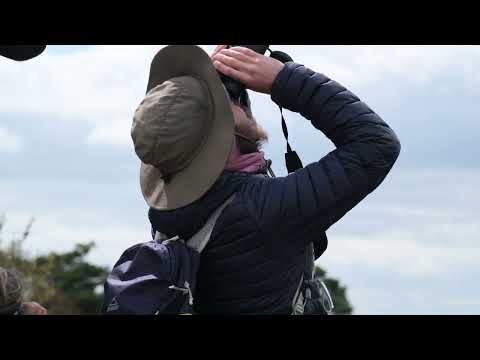 Partez à la découverte des vautours sur les Grands Causses en vidéo, 