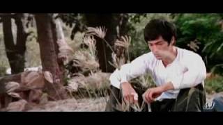 Bruce Lee &quot;Lose Control&quot; featuring Hero by Sevendust (360p)