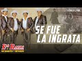 Los Razos - Se fue la ingrata (Official Lyric Video)