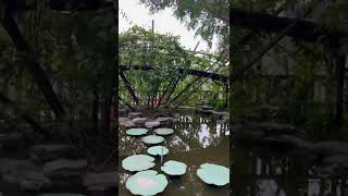 Ninh Binh #Travel #vietnam #shorts