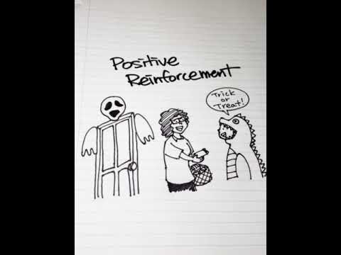 ABA Terminology: What is positive reinforcement?