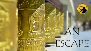 AN ESCAPE || Blackbird - Martyn Bennett - Martyn Bennett