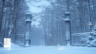 Siap Rilis Single Terbaru, JKT48 Luncurkan Film Pendek Magic Hour - The New Dawn Langsung Trending!