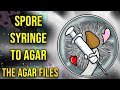 Spore Syringe to Agar - The Agar Files