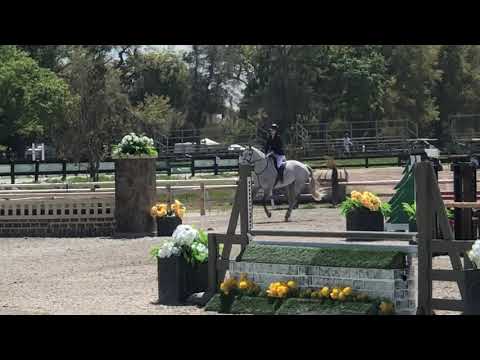 Handy - Golden Glock WS