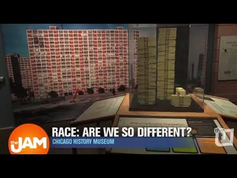Chicago History Museum Exhibit | RACE: ARE WE SO DIFFERENT?