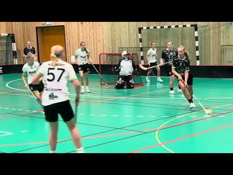 Highlights Skånemästerskapen Damer FC Helsingborg - Åstorp/Kvidinge IBS 8-3.