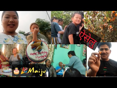 🎉🎂Happy Birthday Maiju|पहिलो पटक ऐसेलु (Aiselu) खायौ✔️[Yellow Himalayan Raspberry]|Celebration|vlog|
