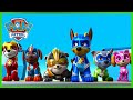 Os Supercães Em Ação Param Um Foguete E Mais Patrulha Pata PAW Patrol Episódio Português