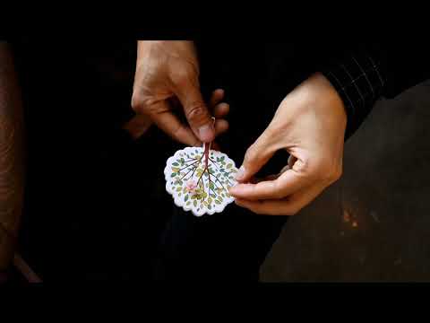 Orange Tree (Gimmick and Online Instructions) by Hugo Choi