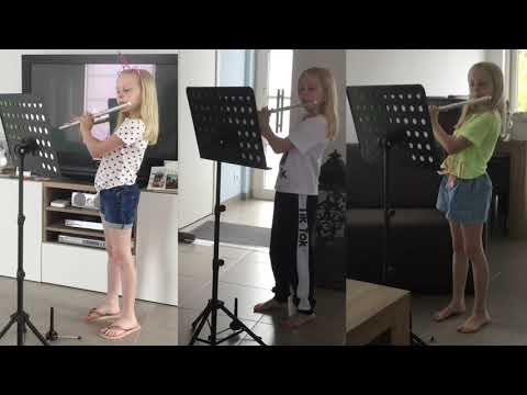 123 dwarsfluit splitscreen