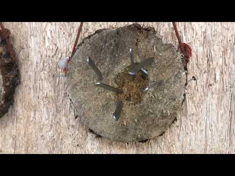 Throwing DXB Knives And Testing Artyom Dmitriev’s New Knife