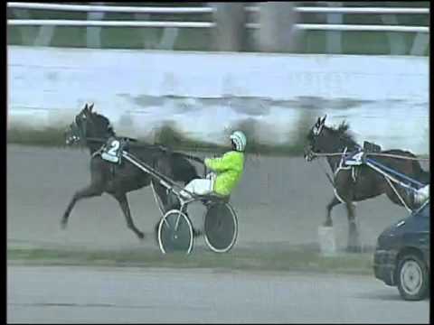 Trotto 05/01/2016 - 4° corsa