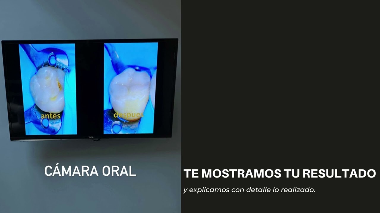 Luis Arellano De León-18