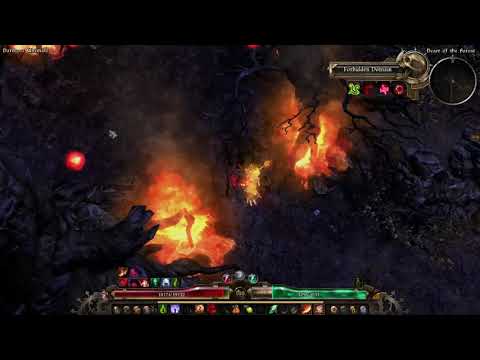 Void's Secret [1.2.1.6] Grim Dawn [HC] Chaos S&B Sentinel Build.