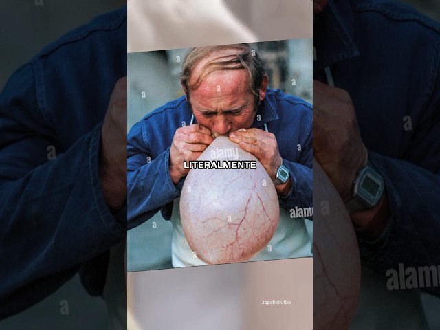 Vídeo relacionado con Wanapix | Balón de Fútbol Personalizado con Nombre y Número | Pelota de Fútbol Personalizable | Dorsal y Texto | Basic | Azulgrana