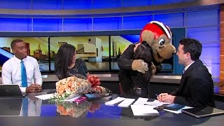 Chomps delivers Valentines