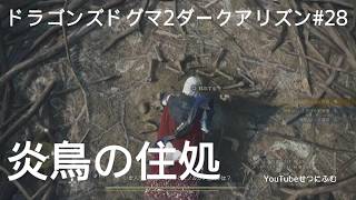 【DD2DA 】炎鳥の住処ガガーナの巣に移動して、炎鳥の羽根を入手する　28