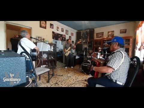 Guarecita - Los Gavilanes se J.T