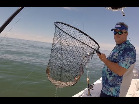 Fishing for monster fluke in the Long Island Sound