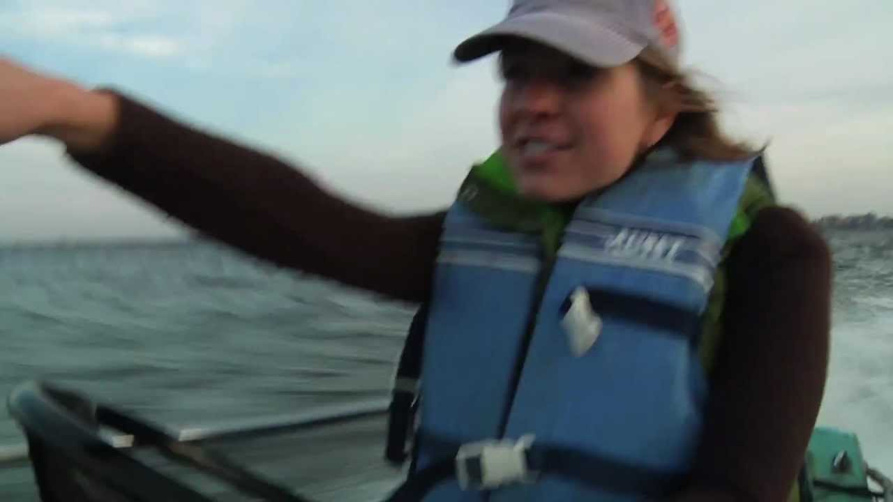 Water Docs: Dr. Katherine McMahon