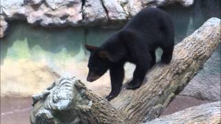 NO ONE MENDS A BROKEN HEART LIKE YOU