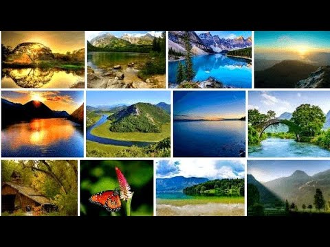 Nature beautifull images🌞|scenery wallpapers#nature#greenery🍃#phone wallpapers