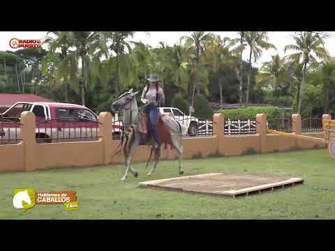 Huacas de Hojancha, Guanacaste  / Hablemos de Caballos & Más