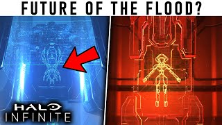 A Dark Future for the FLOOD in Halo? (Theory) -  Halo Infinite Spoilers