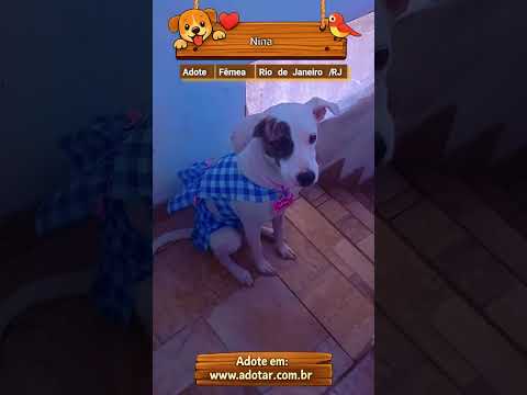 Vídeo de Nina