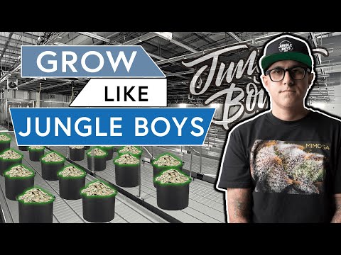 How to Grow Like The Jungle Boys [Athena Nutrients Review]