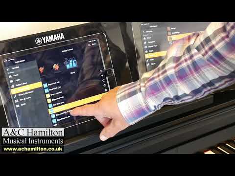 Yamaha CSP VS Yamaha CLP What are the Benefits?