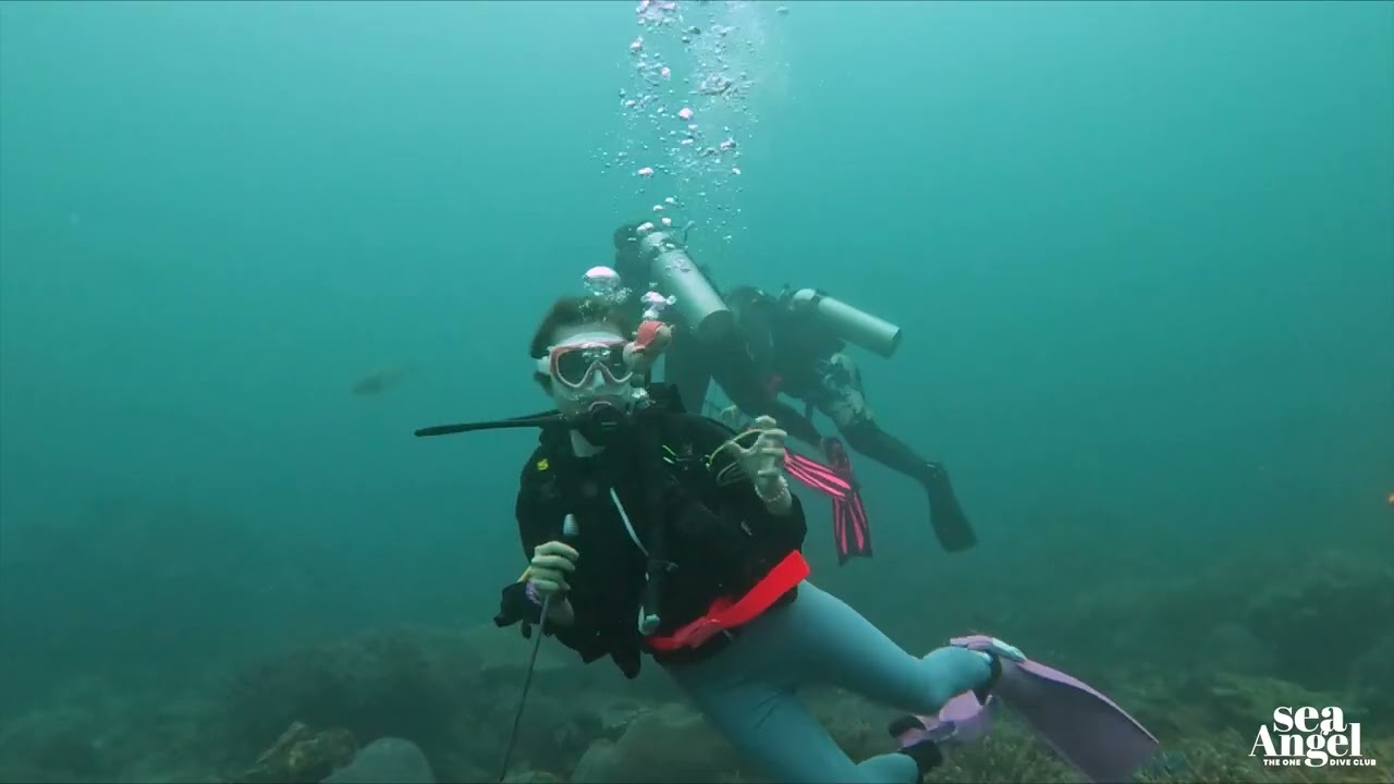 Exploring Tenggol Island's Hidden Treasures - Dive Adventures Await!