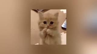 Cover art for break it off