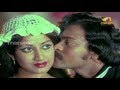 Kothala Rayudu Movie Songs Puvvuloy Puvvulu Song Chiranjeevi Madhavi