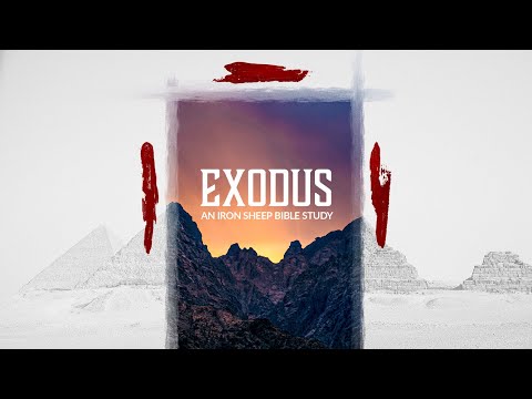Exodus 1 Bible Study - Where is God?