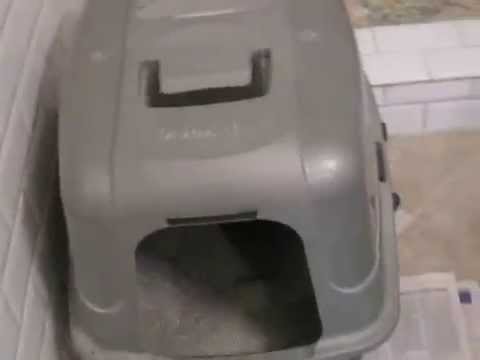 Where to Put the Cat Litter Box - A Clever Idea