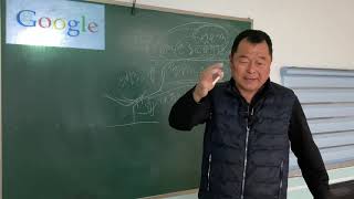 체리재배 이것이 가장기초라고봅니다
