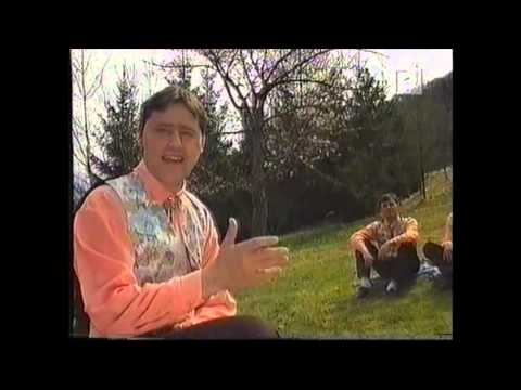 Ansambel Šibovniki - T'ški cajti