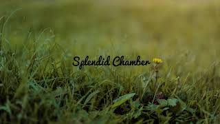 Cautious Clay - Juliet + Caesar