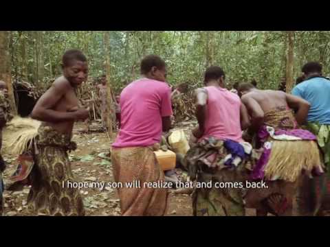 Vadim Vitovtsev - В тени больших деревьев / Small People. Big Trees trailer