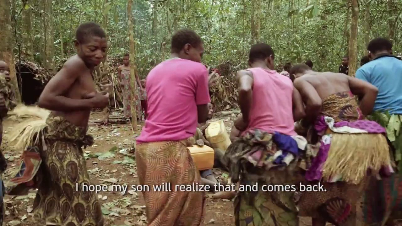 Vadim Vitovtsev - В тени больших деревьев / Small People. Big Trees trailer