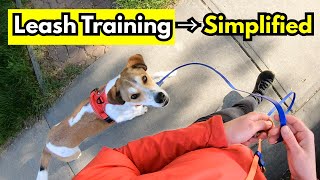 How to Train a Dog to Heel: Step-by-Step Tutorial to Stop Leash Pulling