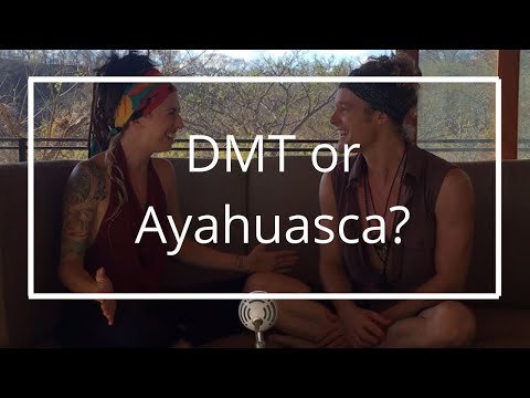 Bufo DMT & Ayahuasca - What's the Difference?