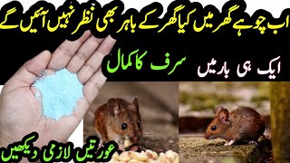 get rid of mouse | Chuhe baghane ka tarika | Rat killer trick | rat killer spray #kitchentips