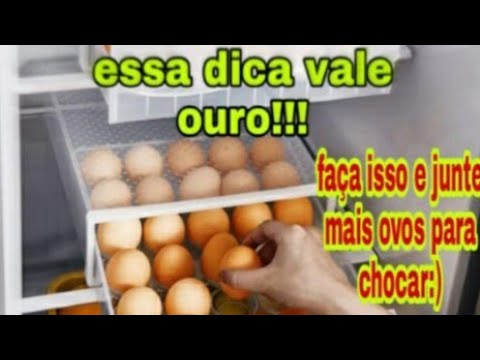 Can I store eggs in the refrigerator to hatch them??? THIS TIP IS WORTH ITS WEIGHT IN GOLD :)