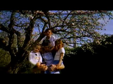 REALO - C MA SHIT pt.2 (feat. Simala x 100PRCNT x Recklessboise)