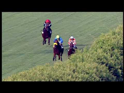 Galoppo 01/08/2020 - 2ª corsa