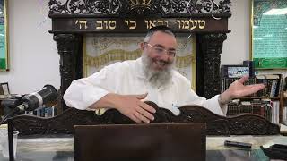 הרב דניאל אלול - פרשת תרומה - חלק א' -  תשפ"ו (ישיבת שעלבים) - התמונה מוצגת ישירות מתוך אתר האינטרנט יוטיוב. זכויות היוצרים בתמונה שייכות ליוצרה. קישור קרדיט למקור התוכן נמצא בתוך דף הסרטון